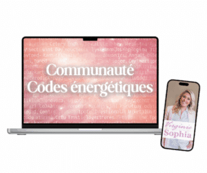 Communauté des codes énergétiques Virginie Sophia