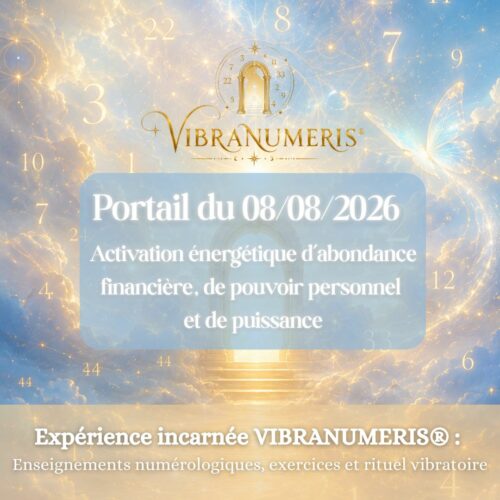 Portail énergétique 08/08/2026- Expérience d’activation VIBRANUMERIS